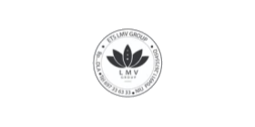LMV Conseil